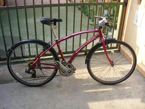 ขายจักรยาน gt กับ ridgedeer  2 คัน