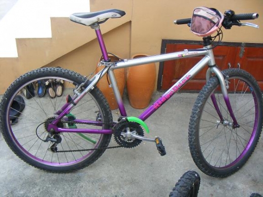 ขายจักรยาน gt กับ ridgedeer  2 คัน