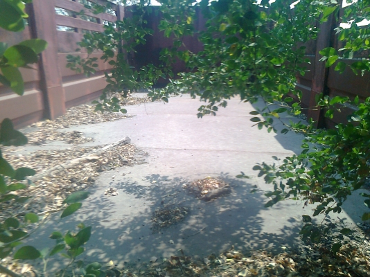 ขาย กระบะ 10 ล้อ ดัมพ์ ไม่มีกระบอก