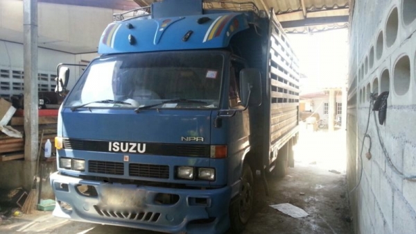 รถอิซูซุ 6 ล้อ รัว NPR 115 แรงม้า  ปี 38  ( รถห้างแท้ )  สนใจติดต่อ 081 - 6079515
