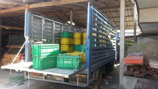 รถอิซูซุ 6 ล้อ รัว NPR 115 แรงม้า  ปี 38  ( รถห้างแท้ )  สนใจติดต่อ 081 - 6079515