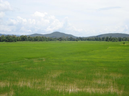 ที่ดิน 30 ไร่ ต. บึงศาล อ. องครักษ์ จ. นครนายก