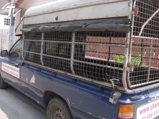 ด่วน..Mity-xเครื่อง4Sน้ำมัน+Lpg(แก๊สหัวฉีด)เกียร์Autoพร้อมหลังคา(พร้อมขับส่ง)