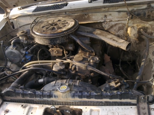 นิสสัน หน้าโง่ ปี 37 นิสสัน หน้าโง่ ปี 37