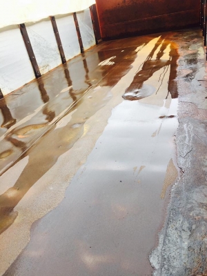 Hino mega เครื่อง 320 แรง ปี 48 รถสวยจัด ยางเรเดียนเต็ม มีระบบลากพ่วง เครื่อง/เกียร์/ช่วงล่างสวยเดิม ทะเบียนพร้อม Hino mega เครื่อง 320 แรง ปี 48 รถสวยจัด ยางเรเดียนเต็ม มีระบบลากพ่วง เครื่อง/เกียร์/ช่วงล่างสวยเดิม ทะเบียนพร้อม