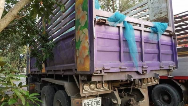 ขาย 2,250,000฿????HINO.ซีลี่500./344แรง.ปี 54 แม่ลูกดั้ม กะบะ3มิตรคอกเกษตรหัวบางยางดีคัดซีสวย  รถอยู่.อ่างทอง.  โทร&amp;ไอดีไลน์ 0610710295