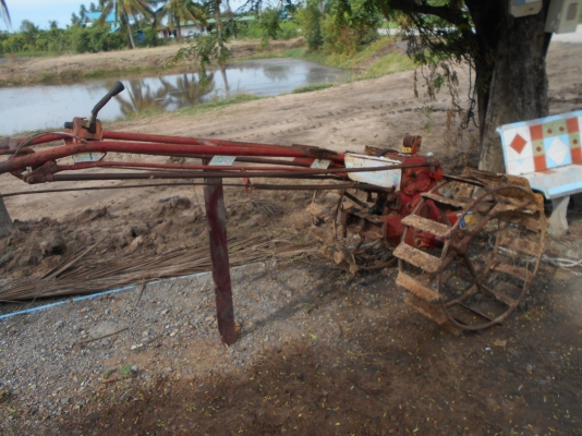 ขายตัวรุ้งเพชรเกรีย ใช้งานใด้ปกติทุกเกรียครับ 0810074646 อ่างทอง ขายตัวรุ้งเพชรเกรีย ใช้งานใด้ปกติทุกเกรียครับ 0810074646 อ่างทอง