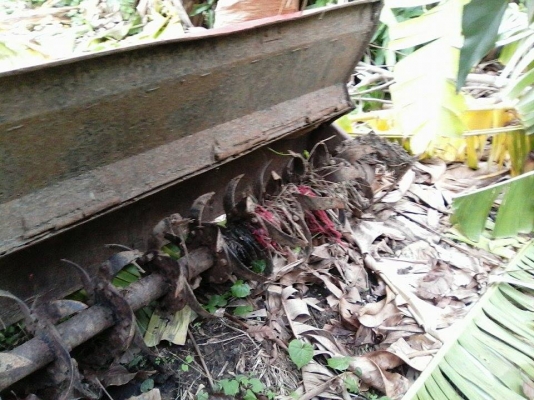 ขายM5000 ขายM5000