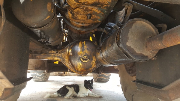 ขาย รถตัก KAWASAKI KSS7 เอวอ่อน รถใช้งานอยู่ ราคาต่อรองได้