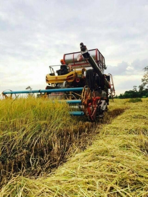 ขายตามสภาพ รถเกี่ยวข้าวไอ้หนุ่มไวไฟ เครื่อง 220 ปั๊ม ไดกิ้น ตัวเดิน 10 แมคโคร โรเลอร์ 10 ลูก หน้าเกี่ยว 3.50 เมตร ขายตามสภาพ รถเกี่ยวข้าวไอ้หนุ่มไวไฟ เครื่อง 220 ปั๊ม ไดกิ้น ตัวเดิน 10 แมคโคร โรเลอร์ 10 ลูก หน้าเกี่ยว 3.50 เมตร