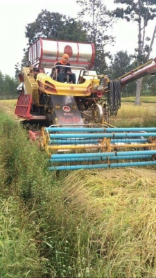 ขายตามสภาพ รถเกี่ยวข้าวไอ้หนุ่มไวไฟ เครื่อง 220 ปั๊ม ไดกิ้น ตัวเดิน 10 แมคโคร โรเลอร์ 10 ลูก หน้าเกี่ยว 3.50 เมตร ขายตามสภาพ รถเกี่ยวข้าวไอ้หนุ่มไวไฟ เครื่อง 220 ปั๊ม ไดกิ้น ตัวเดิน 10 แมคโคร โรเลอร์ 10 ลูก หน้าเกี่ยว 3.50 เมตร