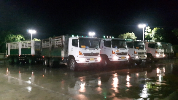 ขายครับ 320 ปี47-48 จำนวน4พ่วง แม่-ลูกไม่ดั้ม ตามสภาพ