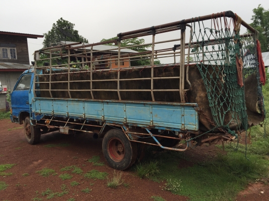 Isuzu KS22 110แรง 4BD1 กะบะยาว4.3 พร้อมคอก ลดราคารับหน้าฝนครับ เล่มพร้อมโอน ภาษี61 Isuzu KS22 110แรง 4BD1 กะบะยาว4.3 พร้อมคอก ลดราคารับหน้าฝนครับ เล่มพร้อมโอน ภาษี61