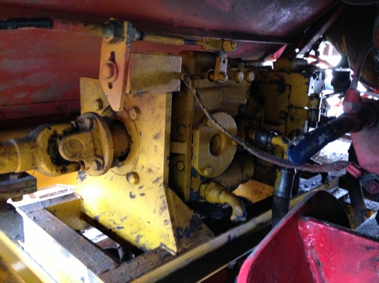 ขาย จ้าวช้าง ปี 49 ขาย จ้าวช้าง ปี 49