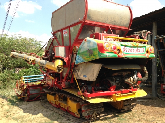 ขาย จ้าวช้าง ปี 49 ขาย จ้าวช้าง ปี 49