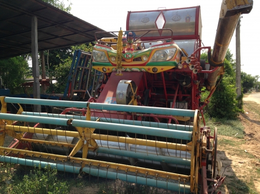 ขาย จ้าวช้าง ปี 49 ขาย จ้าวช้าง ปี 49