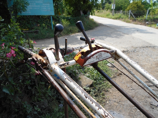 ขายตัวรุ้งเพชรครับ ตัวสวยๆครับ  0810074646 อ่างทอง