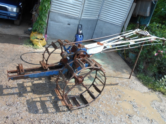 ขายตัวรุ้งเพชรครับ ตัวสวยๆครับ  0810074646 อ่างทอง