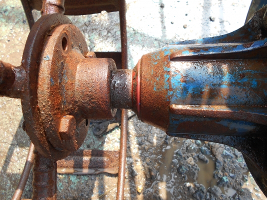 ขายตัวรุ้งเพชรครับ ตัวสวยๆครับ  0810074646 อ่างทอง