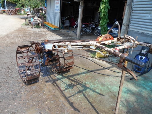 ขายตัวรุ้งเพชรครับ ตัวสวยๆครับ  0810074646 อ่างทอง