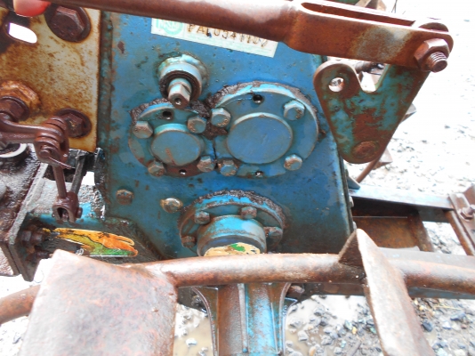 ขายตัวสิงท์สยาม หรือรุ้งเพชรครับสวยๆครับ 0810074646 อ่างทอง ขายตัวสิงท์สยาม หรือรุ้งเพชรครับสวยๆครับ 0810074646 อ่างทอง