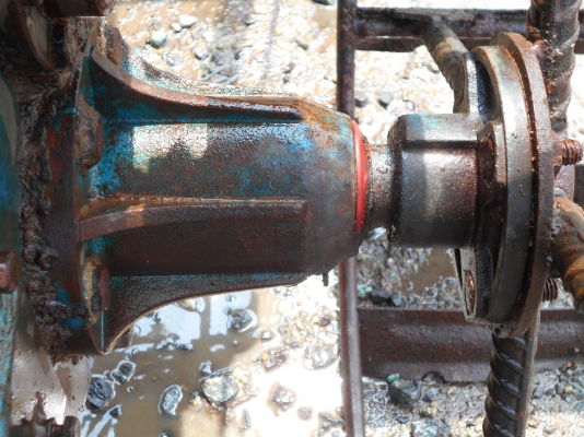 ขายตัวสิงท์สยาม หรือรุ้งเพชรครับสวยๆครับ 0810074646 อ่างทอง ขายตัวสิงท์สยาม หรือรุ้งเพชรครับสวยๆครับ 0810074646 อ่างทอง