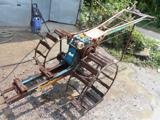 ขายตัวสิงท์สยาม  หรือรุ้งเพชรครับสวยๆครับ 0810074646 อ่างทอง