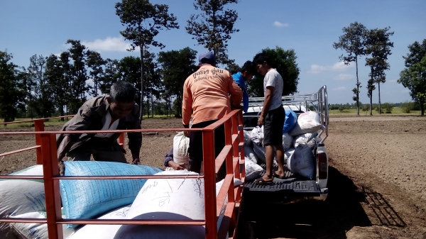 พ่วงรถไถดั้มไฟฟ้า12V.