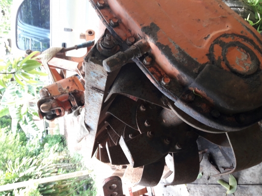 โรตารี่