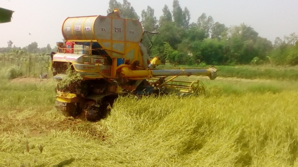 ขายรถเกี่ยวข้าวพร้อมเทรนเลอร์