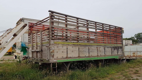 ขายกระบะไม้ ตามสภาพ สนใจติดต่อเรา ดำสุโขทัย โทร 089-7087998,081-7855503 กรือเยี่ยมชมเว็ปไซได้ที่ www.dum-sukhothai.com ขายกระบะไม้ ตามสภาพ สนใจติดต่อเรา ดำสุโขทัย โทร 089-7087998,081-7855503 กรือเยี่ยมชมเว็ปไซได้ที่ www.dum-sukhothai.com