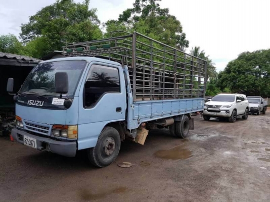ขาย 395,000 บาท ISUZU NPR66PX5 T ปี 41 เครื่อง 4HF1-120 แรง ยาว 5 เมตร หัวบาง ยางดี คัสชีสวย เอกสารเล่มทะเบียน รถอยู่ ราชบุรี 090-772-3710 090-772-3708