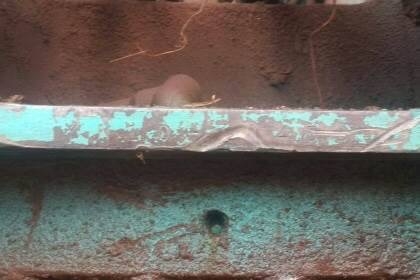 ชาย 1,280,000 บาท KOBELCO SK200 MARK 6 YN10 ทำงาน 13,xxx ชม. เครื่องดี ปั้มแรง โช่หนา เอวแน่น ไฟฟ้าครบ แอร์เย็น เอกสารเล่มทะเบียน รถอยู่. ขอนแก่น โทร&ไอดีไลน์ 0610710295 ชาย 1,280,000 บาท KOBELCO SK200 MARK 6 YN10 ทำงาน 13,xxx ชม. เครื่องดี ปั้มแรง โช่หนา เอวแน่น ไฟฟ้าครบ แอร์เย็น เอกสารเล่มทะเบียน รถอยู่. ขอนแก่น โทร&ไอดีไลน์ 0610710295