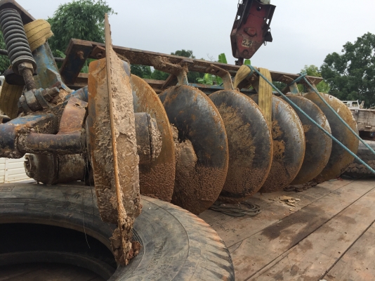 KK6ใบผานสวยๆ