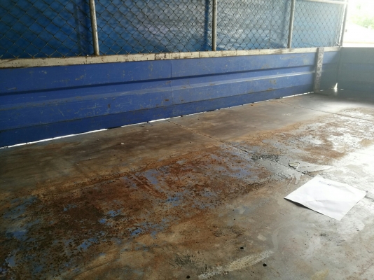 รถบรรทุก 6 ล้อมีหลังคา ยี่ห้อ ISUZU  130 แรงม้า ปีจดทะเบียน 2548