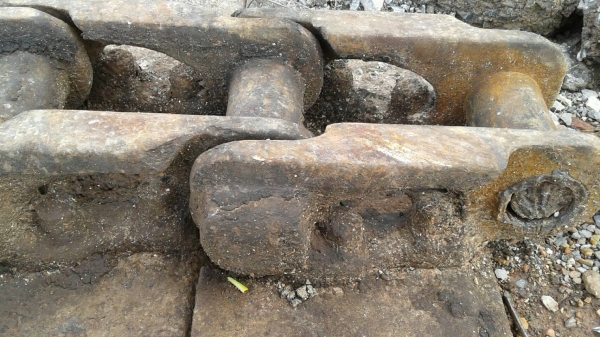 ขายโซ่พร้อมแผ่น รถแทรกเตอร์ D-50 โซ่แท้ ตราโคมัสสุ สภาพตามรูป ขายไม่แพงครับ