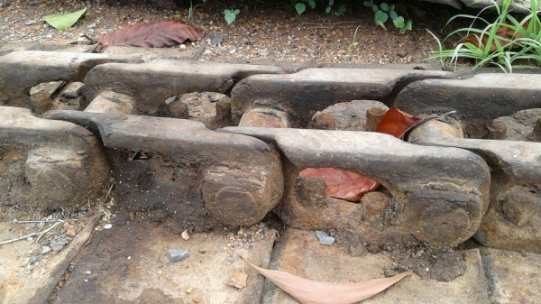 ขายโซ่พร้อมแผ่น รถแทรกเตอร์ D-50 โซ่แท้ ตราโคมัสสุ สภาพตามรูป ขายไม่แพงครับ