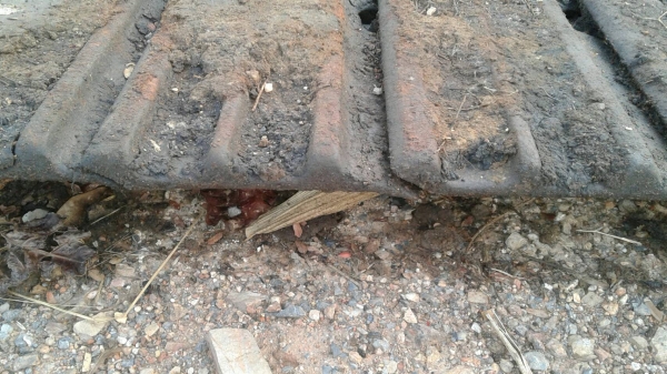 ขายโซ่พร้อมแผ่น รถแทรกเตอร์ D-50 โซ่แท้ ตราโคมัสสุ สภาพตามรูป ขายไม่แพงครับ