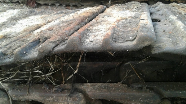 ขายโซ่พร้อมแผ่น รถแทรกเตอร์ D-50 โซ่แท้ ตราโคมัสสุ สภาพตามรูป ขายไม่แพงครับ