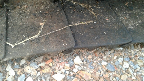 ขายโซ่พร้อมแผ่น รถแทรกเตอร์ D-50 โซ่แท้ ตราโคมัสสุ สภาพตามรูป ขายไม่แพงครับ