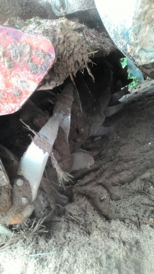 ขายโลตารี 160 ราคา 21000 บาท ดูได้ที อ. ราษีไศล จ. ศรีสะเกษ สอบถาม วันทูคอล 098 668-3479 dtac 094 283-9369 สิทธิ์ คับ ขายโลตารี 160 ราคา 21000 บาท ดูได้ที อ. ราษีไศล จ. ศรีสะเกษ สอบถาม วันทูคอล 098 668-3479 dtac 094 283-9369 สิทธิ์ คับ