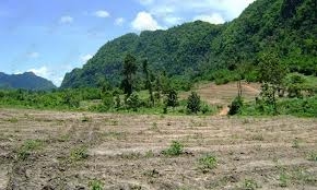 ขาย ที่ดิน ติดริมแม่นำแควน้อย 38 ไร่ อไทรโยค จ กาญจนบุรี