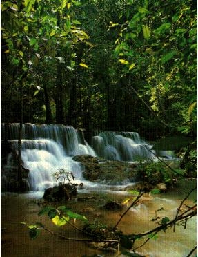 ขาย ที่ดิน ติดริมแม่นำแควน้อย 38 ไร่ อไทรโยค จ กาญจนบุรี