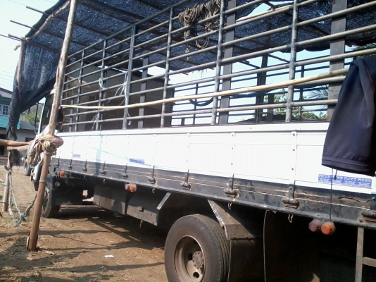 ISUZU 210 แรงม้า ปี 52 ขาย 1180000