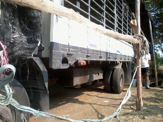 ISUZU 210 แรงม้า ปี 52 ขาย 1180000