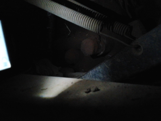 ขาย รถไถ FORD 6610 เสื้อลาย ตัวเต็ม สภาพพร้อมใช้งาน  ยางดี 4เส้น พร้อมอุปกรณ์ 2ชิ้น ใบดัน ผาน5CMT เอกสารเล่มทะเบียน พร้อมใช้ พร้อมลุยงาน ราคาต่อรองได้ครับ