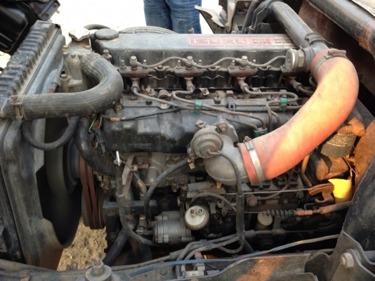 6ล้อยูโร2หัวการ์ตูน150โทโบยาว5เมตร