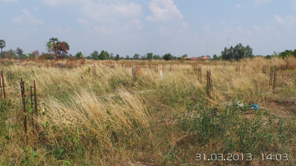 ขายที่ ม อุบลราชธานี ติดถนน 4เลน  6 ไร่ 2 งาน 78 ตารางวา