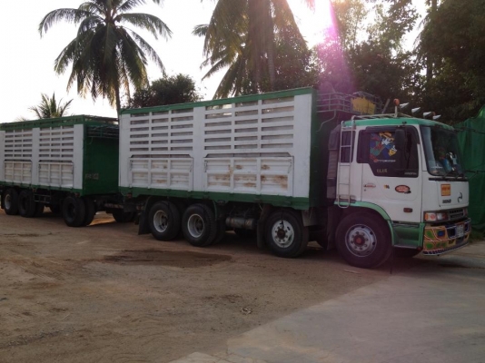 ขายรถบรรทุก(เฉพาะตัวเเม่)