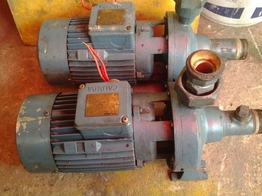 ขาย !!  ปั้มหอยโข่ง  1HP.  380 V. พร้อมใช้งาน ของอิตาลีแท้